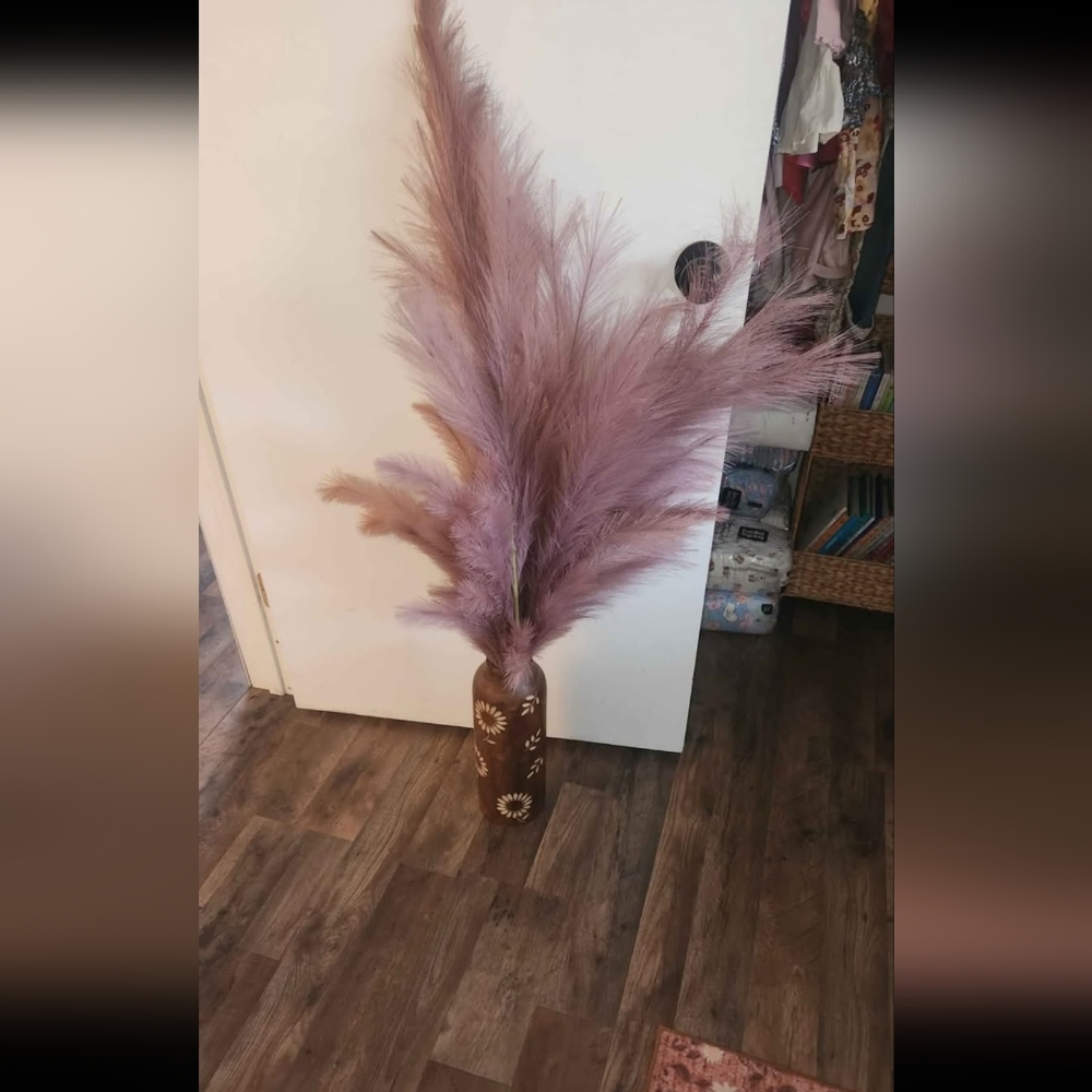 Pink Pampas Grass